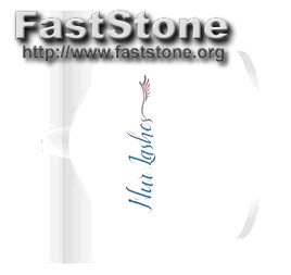 Adobe Photoshop Logo Design Free Download